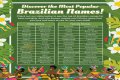 Discover Beautiful And Meaningful Brazilian Female Names