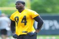 The Ultimate Guide To Brian Timmons: Biography And Career Highlights